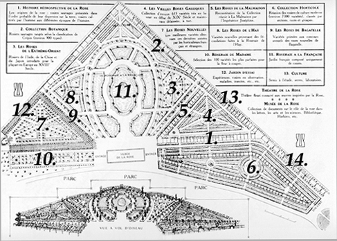 blueprint of Roseraie