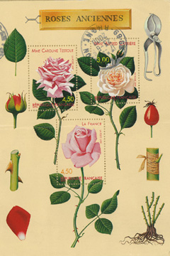 Rose Stamps from France