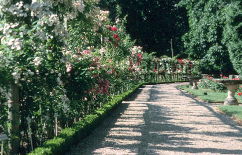 South wall of Ancient Garden