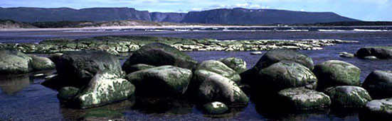 Western Brook, Gros Morne